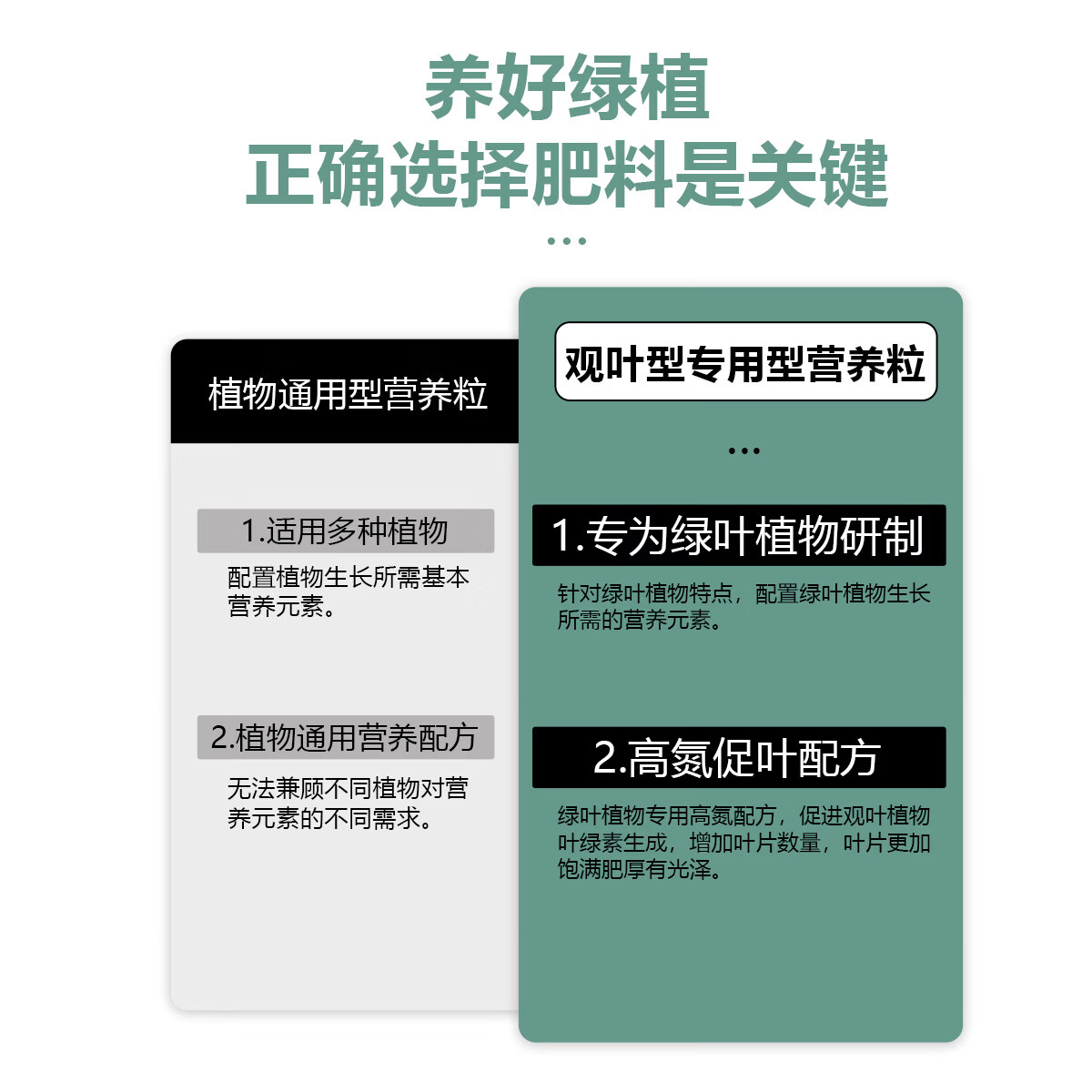 百万销量绿植营养肥料盆栽植物通用型室内有机家绿叶观叶型复合肥 植物营养粒-观叶型500g-1瓶