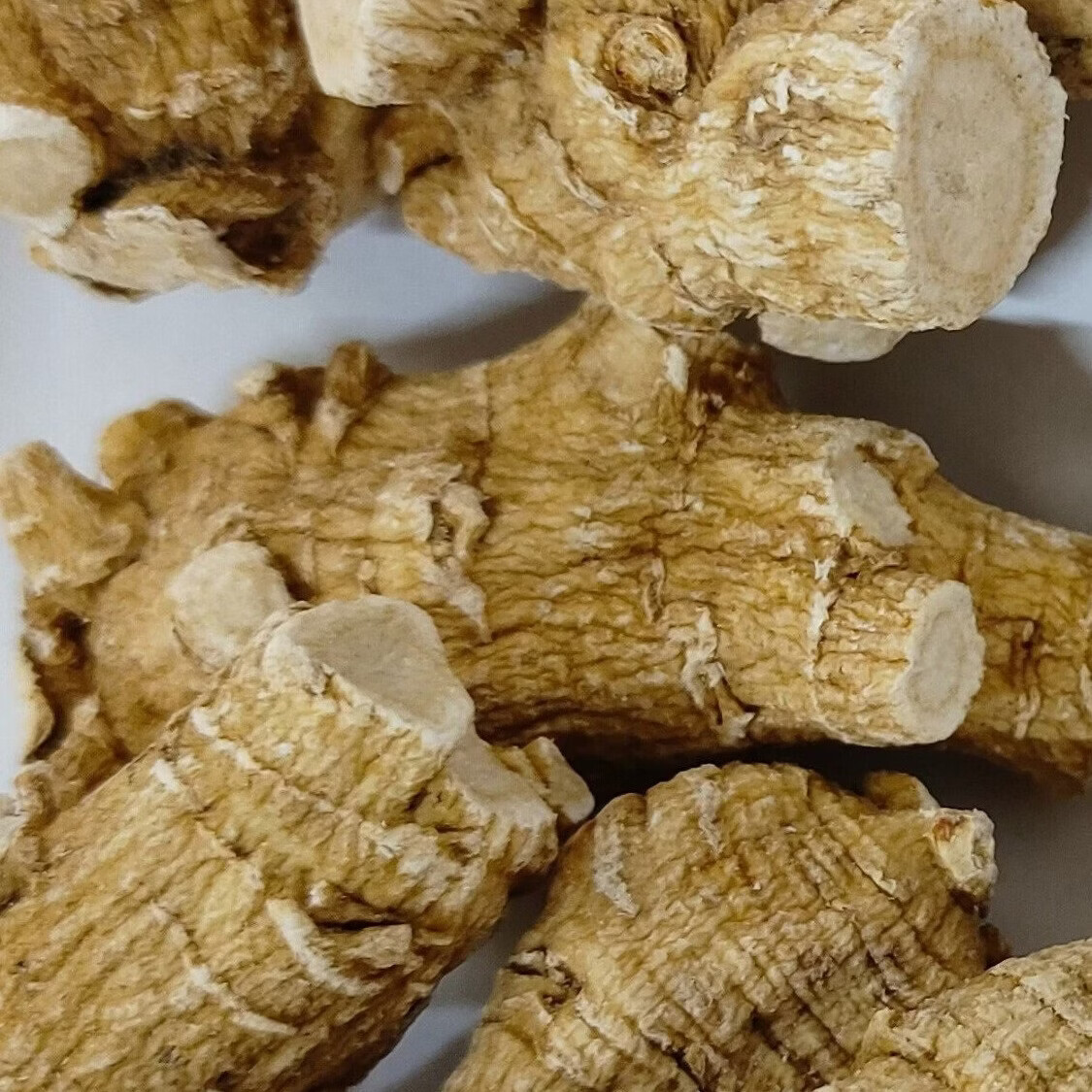 OO-UMAI(加拿大西洋参)足五年花旗参:下特大枝大节:252克起 252g*1罐 切片