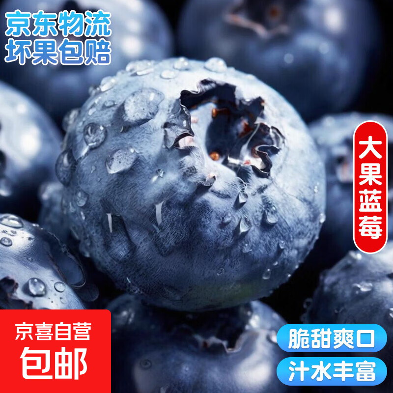 国产云南蓝莓超大果【多地次日达JD快递】 精选孕妇新鲜水果蓝莓 4盒装 多买多划算【70-90g/盒】 中果【单果15mm+】