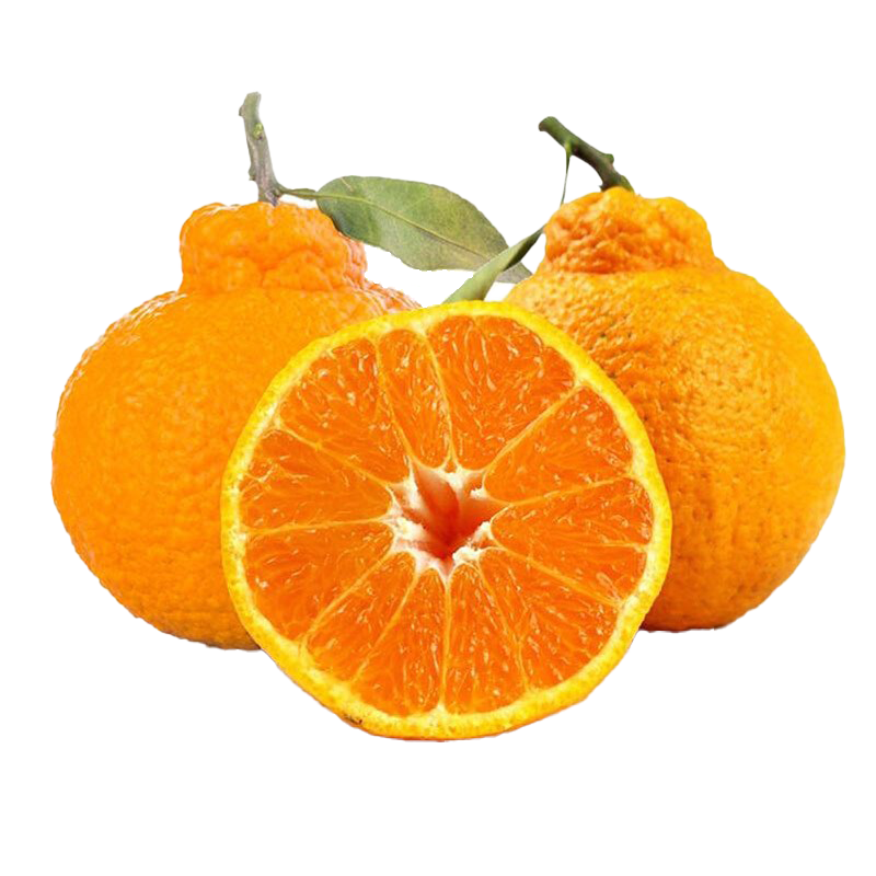 京鲜生 四川不知火丑橘 净重5斤 单果150g+ 源头直发包邮