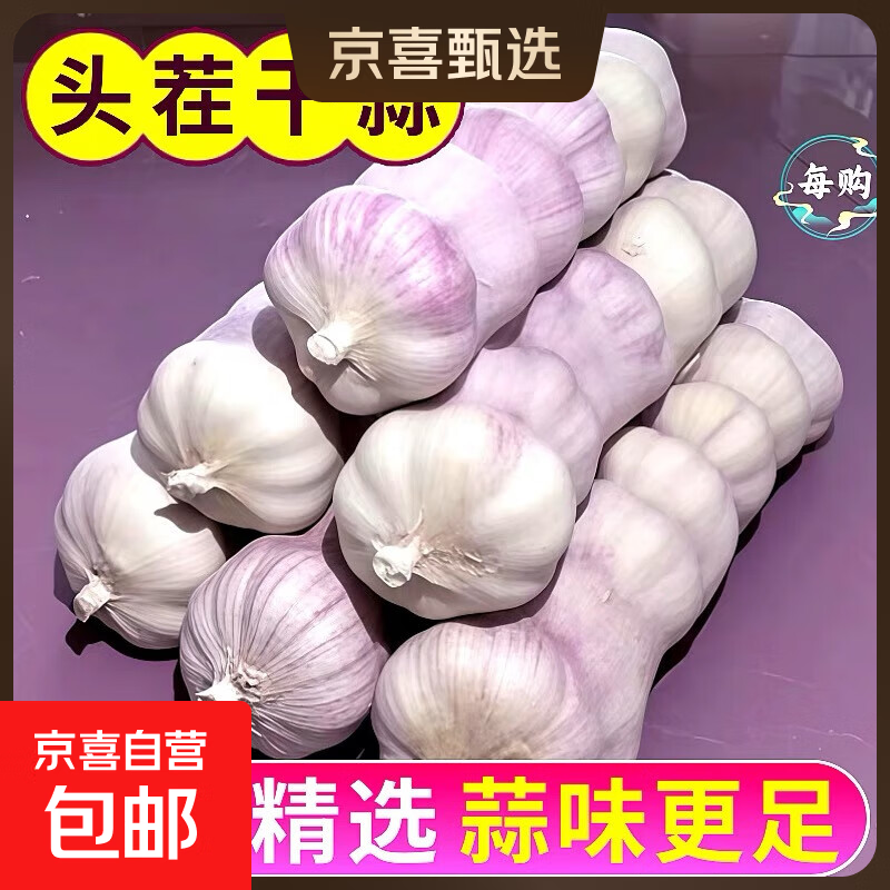 大蒜精装出口蒜出蔬菜水果调料牛肉生蚝小龙虾食材 出口标准网袋装箱 2斤 中果直径4cm