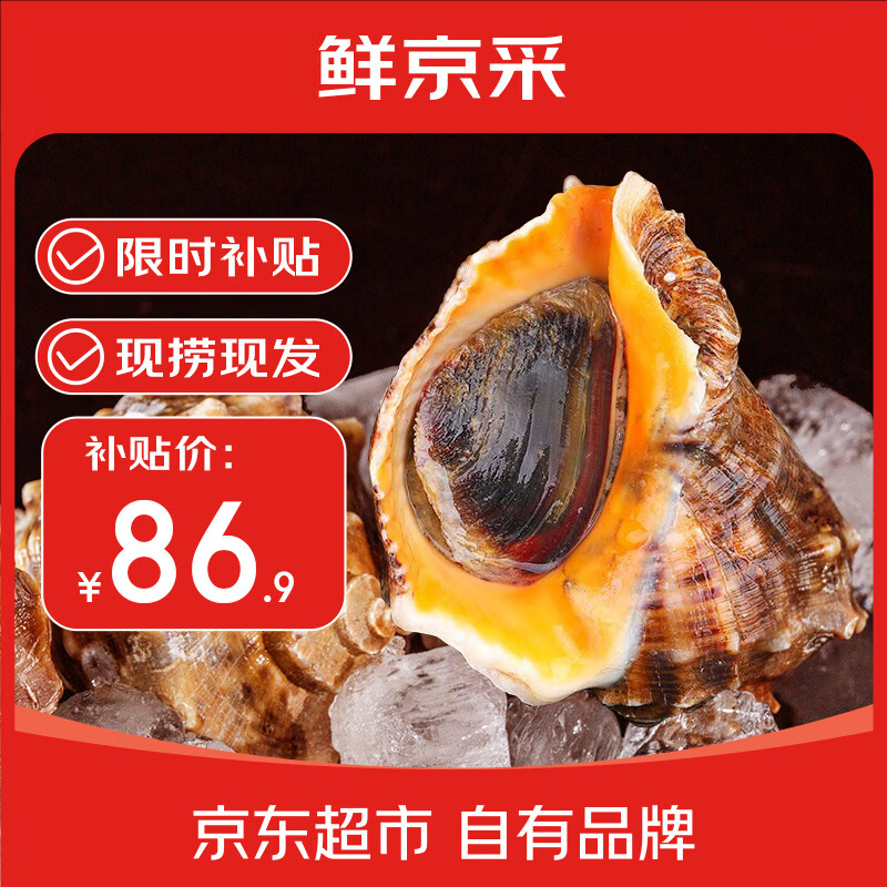 鲜京采 鲜活海螺 净重2斤 3-4只/斤 鲜活到家 生鲜海鲜 源头直发