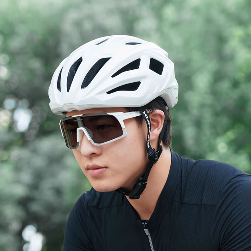 凤凰（Phoenix）100%变色骑行眼镜日夜两用男女公路自行车运动户外跑步防风护目镜 变色镜【日夜两用】磨砂黑