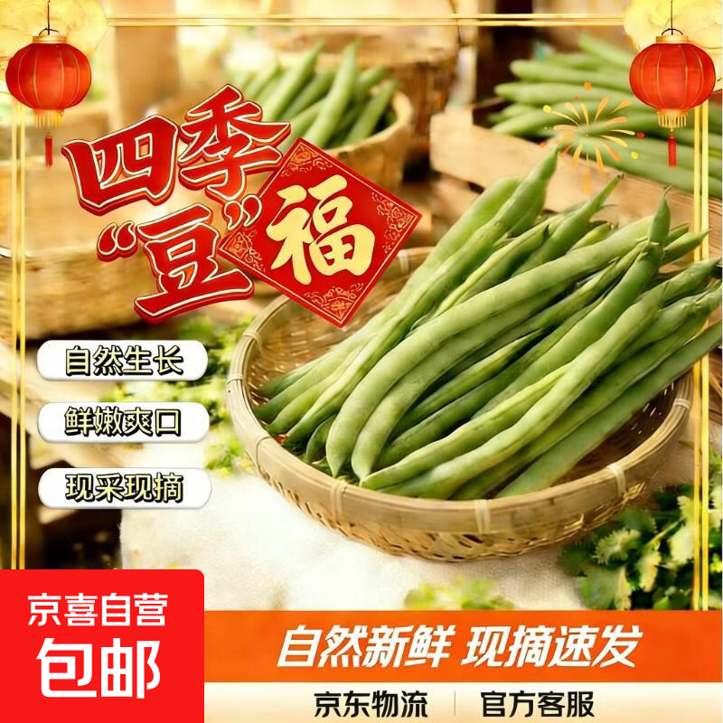 正宗现摘精选四季豆当季蔬菜热卖豆角豆青炒菜专用包邮整箱装发货 【1斤带箱尝鲜装 净重0.9】