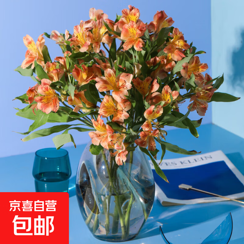 14.9元 随机色六出花9支 1支防损 14.9元 随机色康乃馨10枝 14.9元 随机多头玫瑰单色5支 - 线报酷