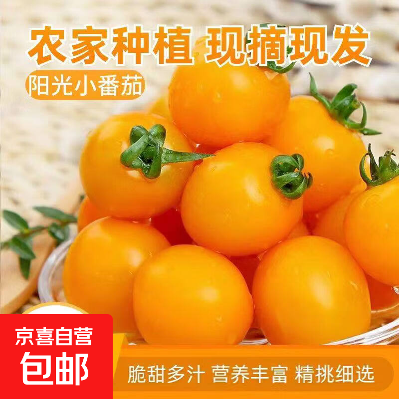 【春游必备】新鲜黄金圣女果生吃零食小番茄低卡减脂水果蔬菜买菜 精选新鲜 3斤 泡沫箱包装