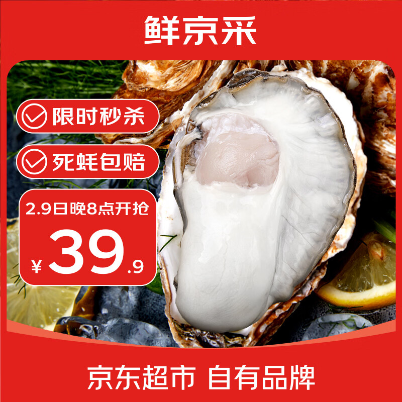 鲜京采 鲜活生蚝4XL 净重5斤 10-13只 鲜活到家 源头直发 年货送礼