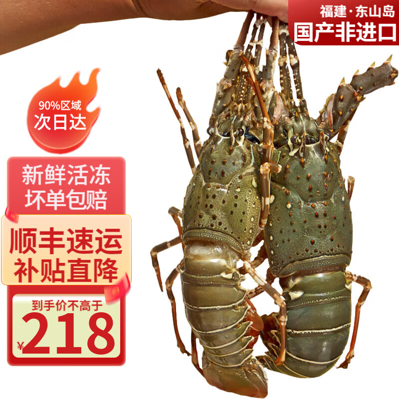 携宴福建小青龙虾大号龙虾海捕活冻大花龙海鲜家庭聚餐宴请食材净重 2斤实惠装3-4只【超实惠】