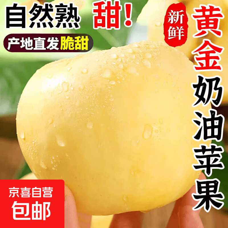 正宗奶油富士苹果 山东烟台栖霞黄苹果应季新鲜水果整箱 奶油富士苹果净重4.5斤单果75mm+