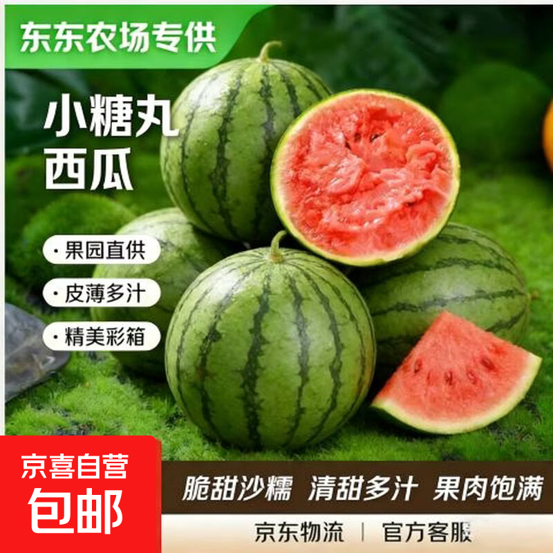 【东东农场专供】全美甘肃2K小糖丸西瓜 2K小糖丸2-3斤净重2斤+