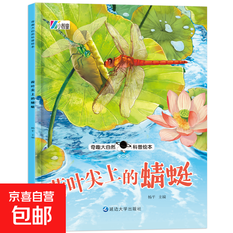 奇趣大自然科普绘本 全4辑 幼儿科普知识童书百科 第一辑：荷叶尖上的蜻蜓