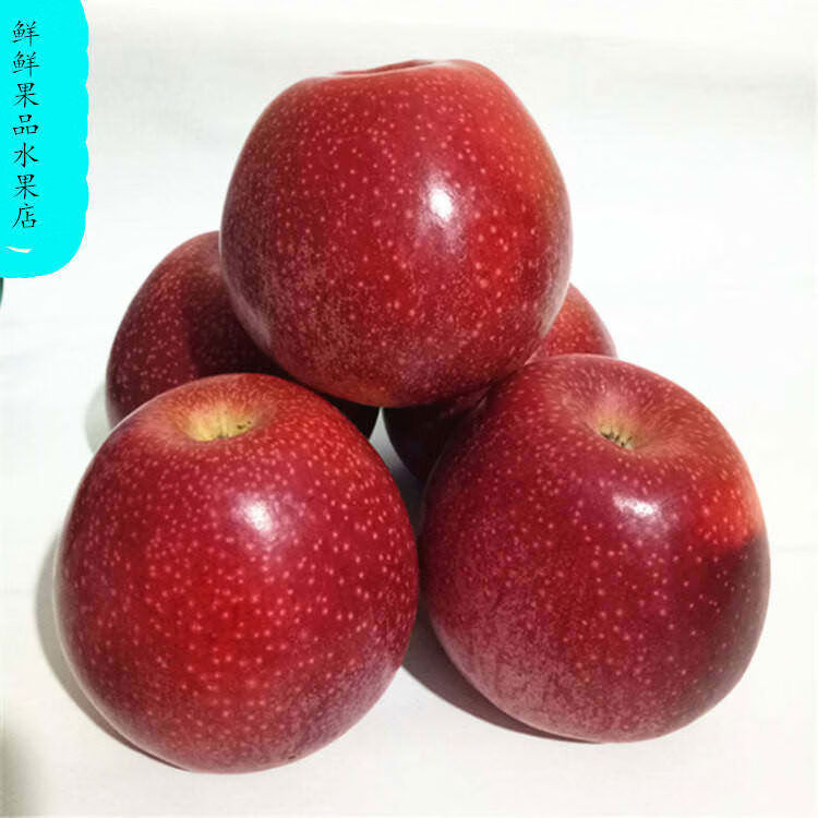 秦林鲜水果苹果粉面香甜老人宝宝刮泥孕妇应季水果软糯红香蕉 4点5斤 80mm含85mm不含