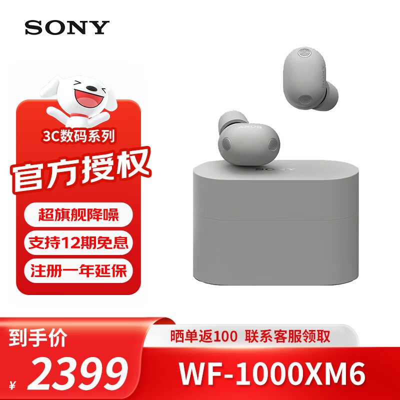 索尼（SONY）WF-1000XM5 WF-1000XM6无线蓝牙降噪智能耳机 WF-1000XM6 铂金银