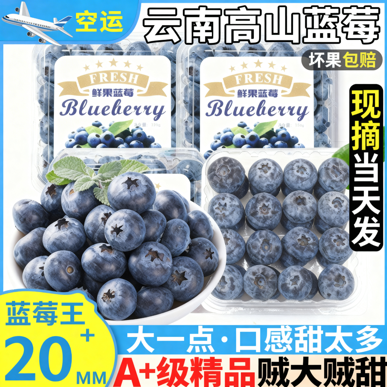 闽农语果云南高山蓝莓【京东-邮政空运多地隔日达】水果现摘送礼孕妇水果 6盒【单果20mm+】125g/盒(净100g) 京东折扣/优惠券