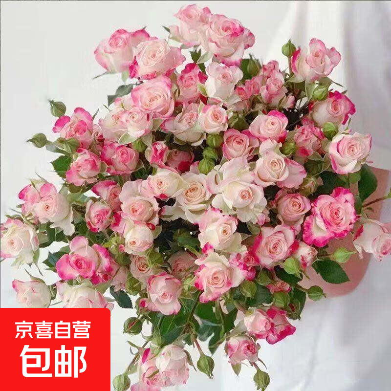 ����ݶ�ͷõ�����ʻ����ٵ�ͬ��������������ֱ�� �����ɫ��ͷ5ֻ 14.9Ԫ