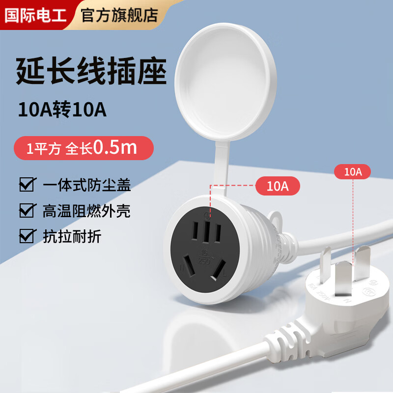 国际电工家用10A转16A电源延长线插座大功率冰箱洗衣机电器加长线电动车充电延长线 10A转10A 全长0.5米