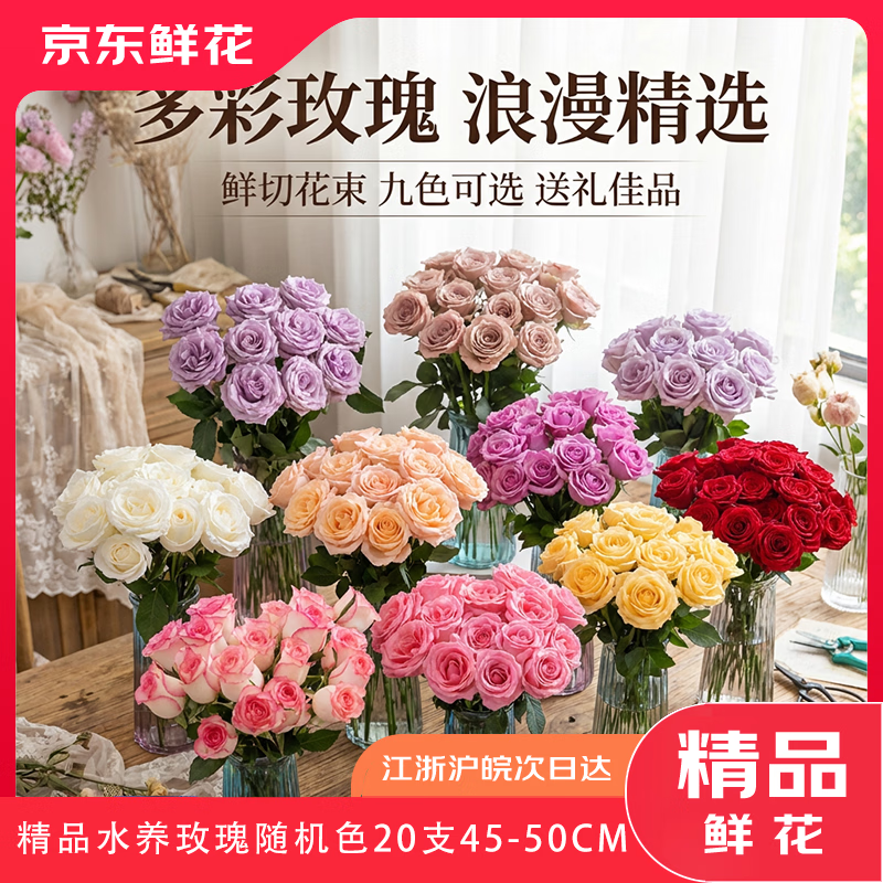 京东鲜花精品无土栽培年宵花新年花礼物随机色玫瑰20支45-50CM 源头直发