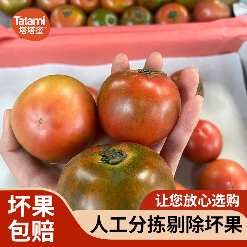【塔塔蜜,顺丰包邮】七彩云南草莓番茄水果番茄沙瓤番茄生鲜特产 草莓(水果)番茄60-90大果 4.5斤