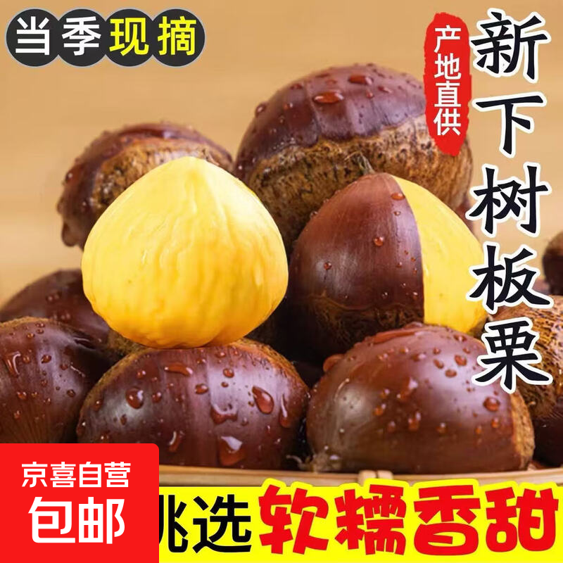 京喜加正宗老树丹东板栗生板栗应季现摘毛栗子大果香甜粉糯生吃脆甜 新鲜大板栗 5斤 净重