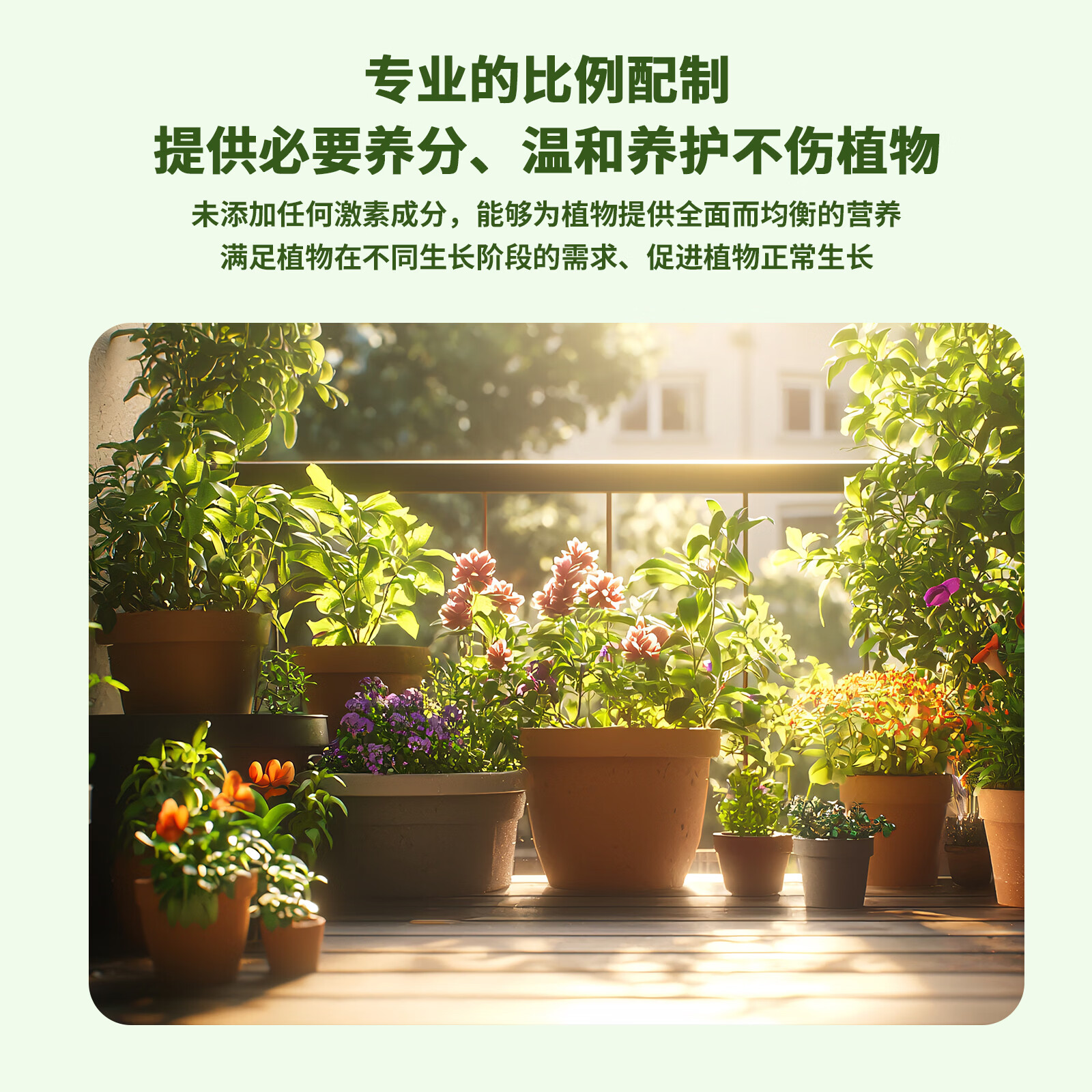 亮彩植物营养液通用+观叶 防烂根黄叶观叶通用绿植肥料盆栽液体肥 2瓶 通用型+观叶型