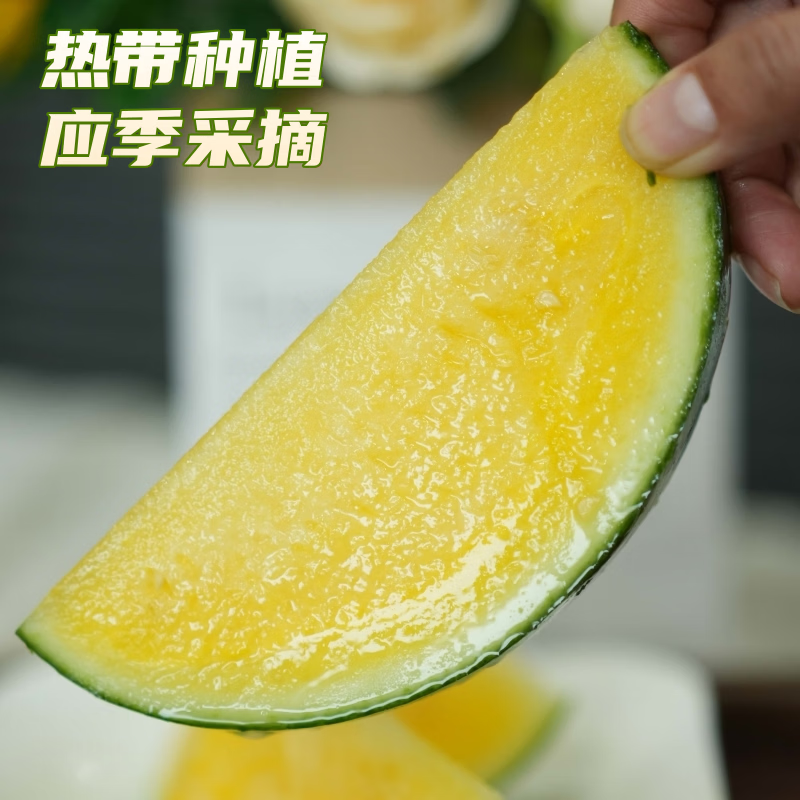 冰淇淋黄心西瓜富硒特小凤西瓜新鲜脆甜黄心皮薄多汁广东当季水果 5-6斤装【果香浓郁 果肉细腻】