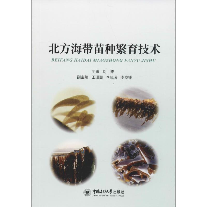 北方海带苗种繁育技术