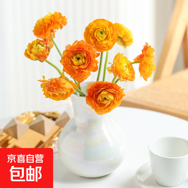 �ٽ��ۡ�PLUS��Ա����ĵ�����ɫ10֧ ���ϻ���ֱ�� ��ͥ�����ʻ� 9.9Ԫ����0.99Ԫ/֧��