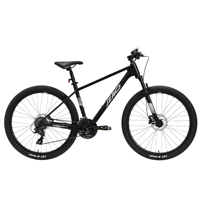 ���ڲ������������� XC500����̼��άɽ�����г�����ŵ24����ѹ��ɲ������ѧ��17�� 1998Ԫ