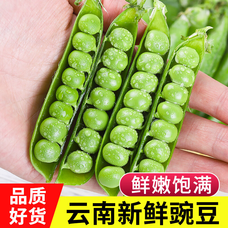 中鲜生 云南新鲜豌豆 甜豌豆新鲜蔬菜现摘豆角 净重5斤【精选品质】鲜嫩饱满