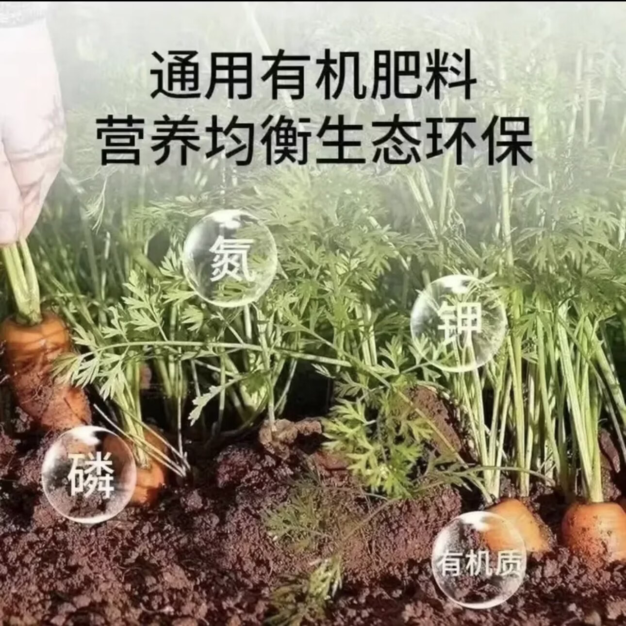 俄罗斯进口50斤复合肥化肥有机肥硫酸钾肥蔬菜肥花肥料果树肥001 50kg【氮磷钾】高效吸收