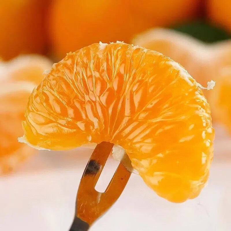 炎之梦®正宗晚熟高山春见耙耙柑四川眉山丹棱柑橘官方旗舰店严选水果 4.5-5斤彩盒装（大果 80mm以上）顺丰快递