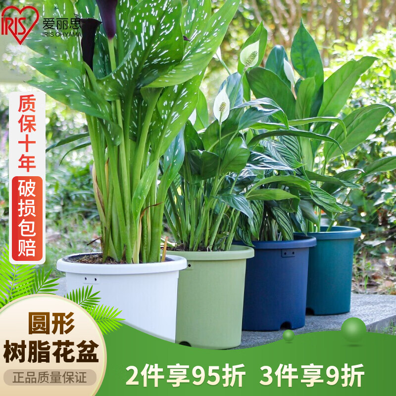 爱丽思花盆塑料圆形树脂多肉花盆种花种菜盆绿萝爱丽丝 浅绿口径30.1cm