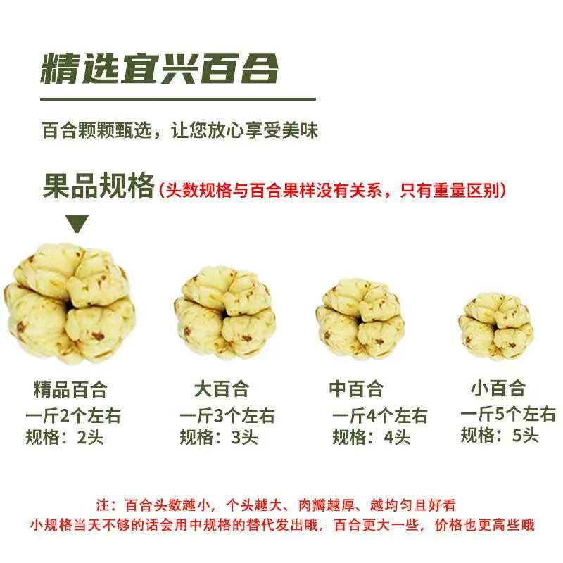 宜兴鲜百合 水果蔬菜25年食用百合新鲜 微苦 卷丹百合产地直发 两斤（每斤3个左右）