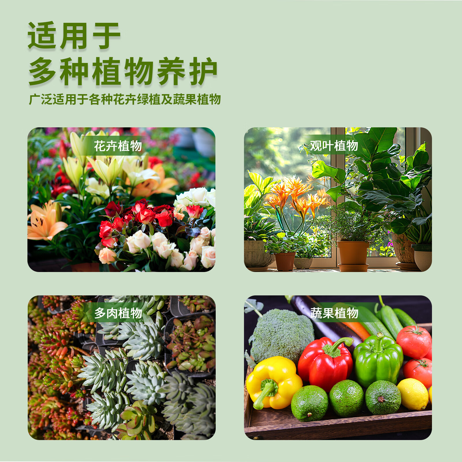 亮彩植物营养液通用+观叶 防烂根黄叶观叶通用绿植肥料盆栽液体肥 2瓶 通用型+观叶型
