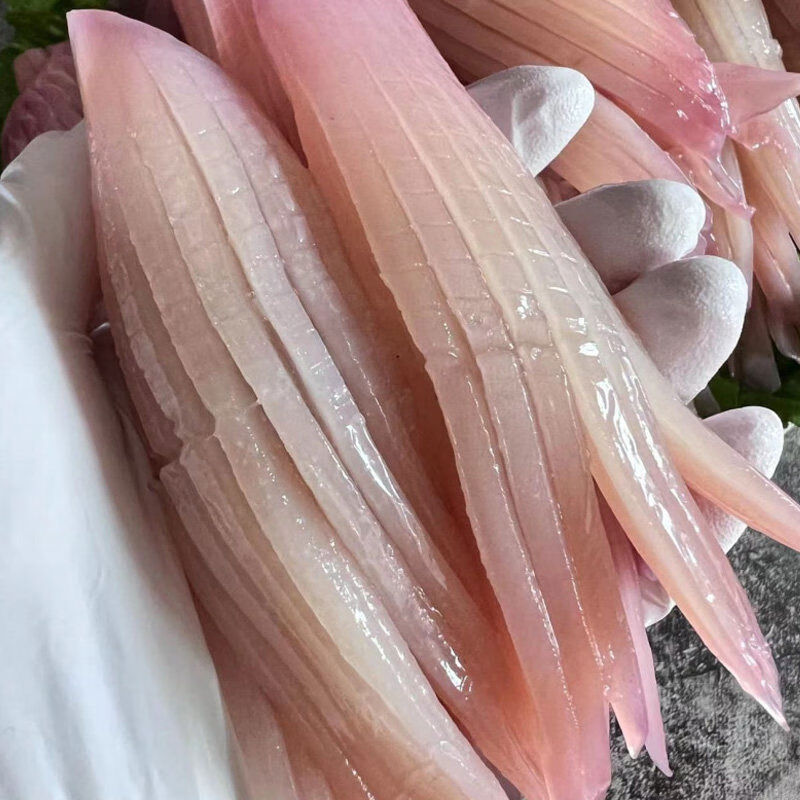 火箭鱿鱼商用鱿鱼须火锅冒菜串串烧烤铁板烧冷冻生鲜食材水发鱿鱼 1千克(净重)  AA级火箭鱿鱼 500g