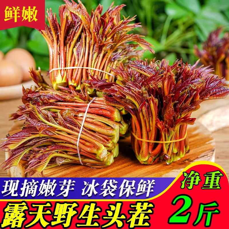 野生香椿芽嫩芽现摘新鲜头茬四川特产正宗香椿头露天春芽应季蔬菜 高效冰袋保鲜(比大棚香椿香9倍 2斤