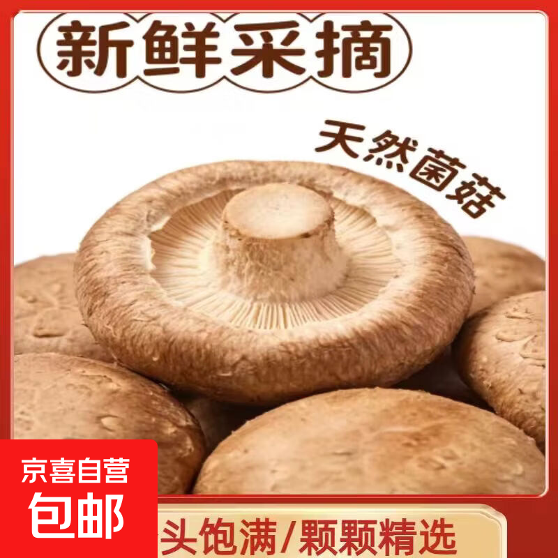 京喜加【东东买菜】现摘现发新鲜香菇食用菌菇火锅煲汤爆炒新鲜蔬菜菌菇 1斤500g