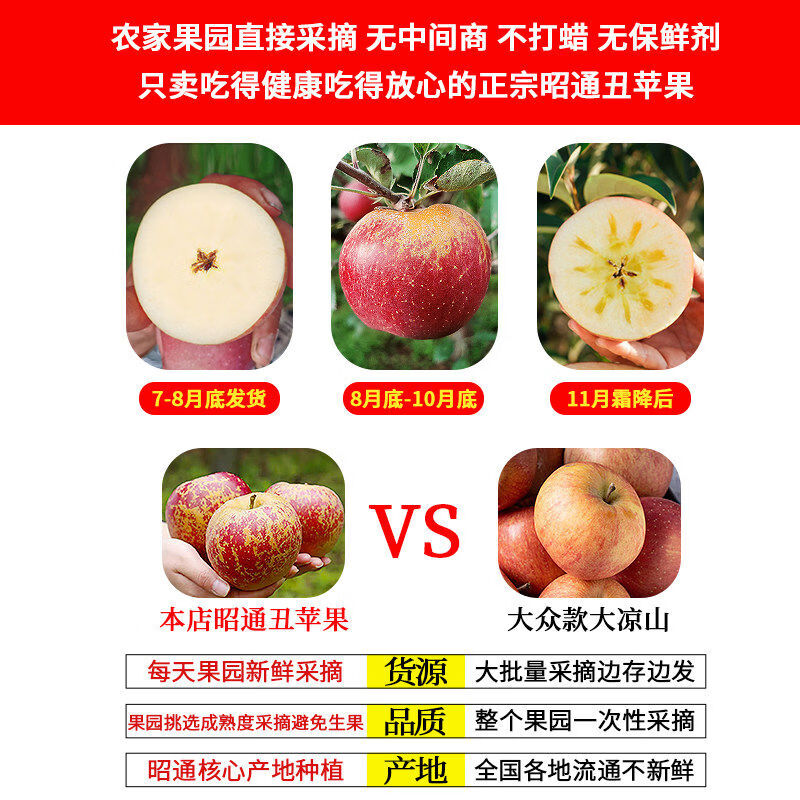 探味君云南昭通丑苹果10斤正宗冰糖心苹果应当季鲜水果红富士萍果整箱 3斤 65mm含70mm不含