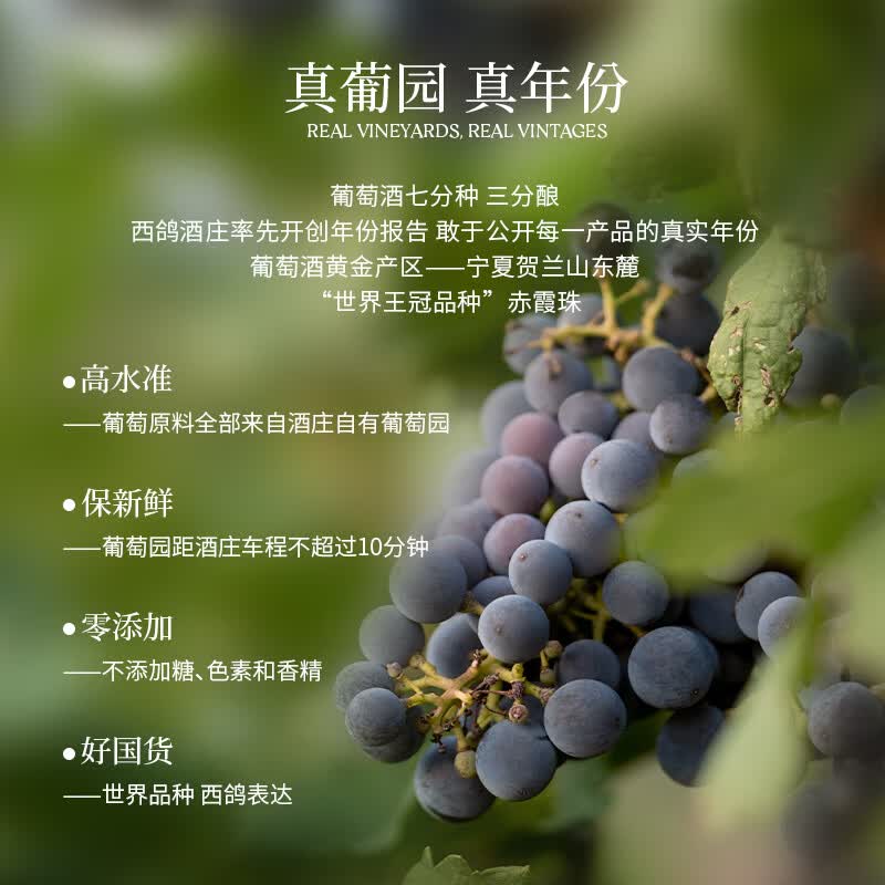 西鸽酒庄玉鸽黄绶带干红葡萄酒 贺兰山东麓国产红酒 自饮口粮酒 送礼宴会 750ml*1