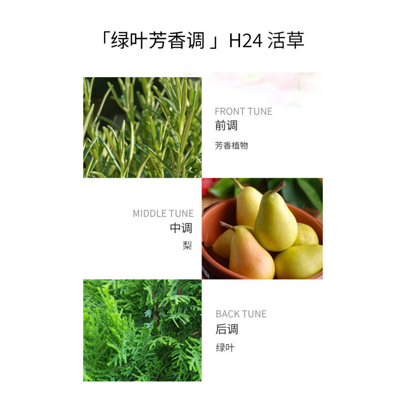 HERM'S爱马仕HERMESH24男士浓香水100mL绿叶芳香调情人节新年礼物送男友 100ML+礼盒礼袋