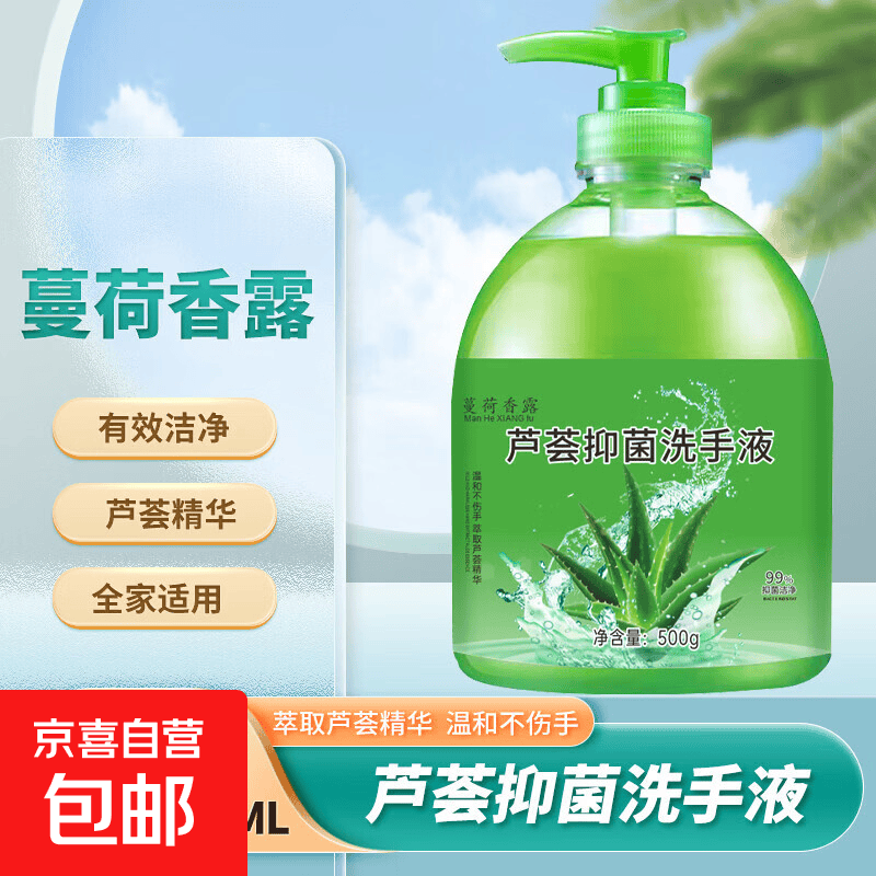 抑菌芦荟洗手液500g抑菌清香型酒店商用家用礼品清仓批发一整箱 500ml*1瓶装+1泵头
