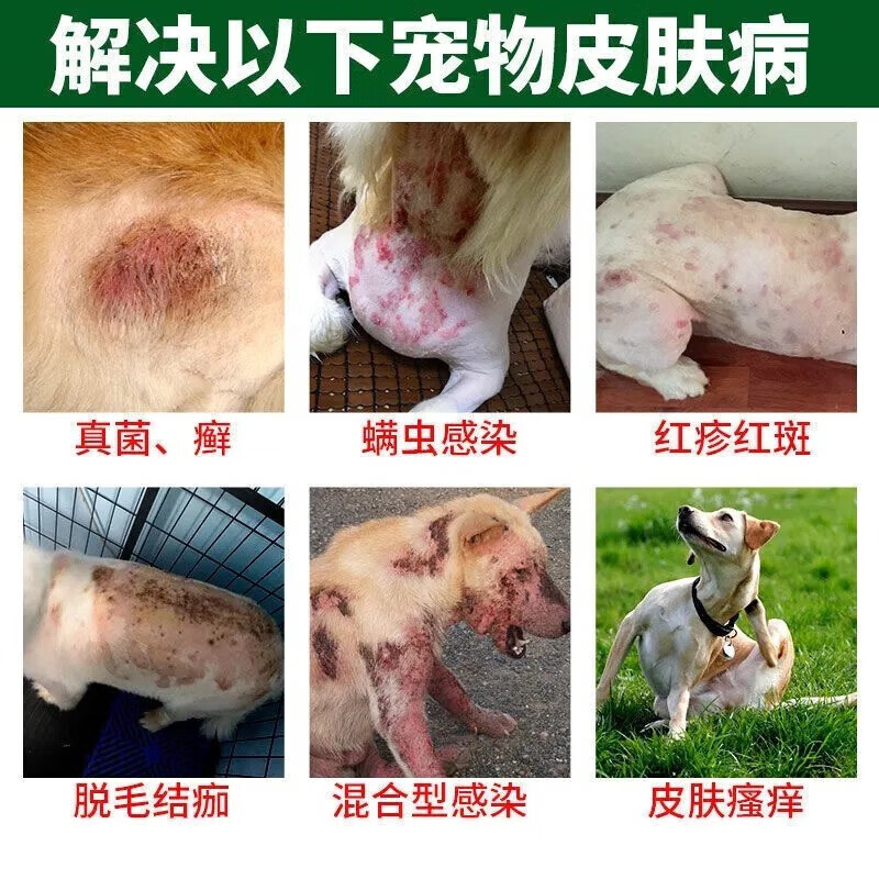 狗狗皮肤病专用药外用狗癣真菌感染感染化脓溃烂脱毛螨虫专用喷剂 1瓶*1盒 【皮肤病专用】