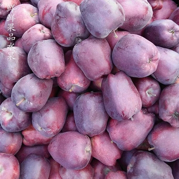 鲜甘肃水牛苹果元帅软糯沙粉面香甜红果蛇老人孕妇应季水果 4点5斤 70mm含75mm不含