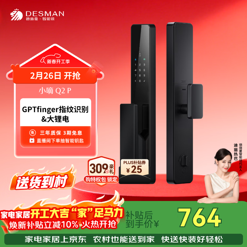 德施曼（DESMAN）智能门锁密码锁入户门 电子锁家用防盗指纹锁 小嘀 Q2P