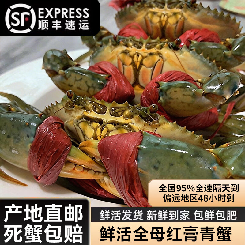 老蟹将 鲜活大青蟹特大红膏蟹鲜活发货大螃蟹海鲜水产 特大红膏蟹净重2斤（2-3只精品）