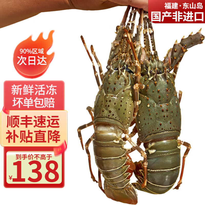 携宴福建小青龙虾大号龙虾海捕活冻大花龙海鲜家庭聚餐宴请食材净重 1只*1-1.2斤/只 【超满足】