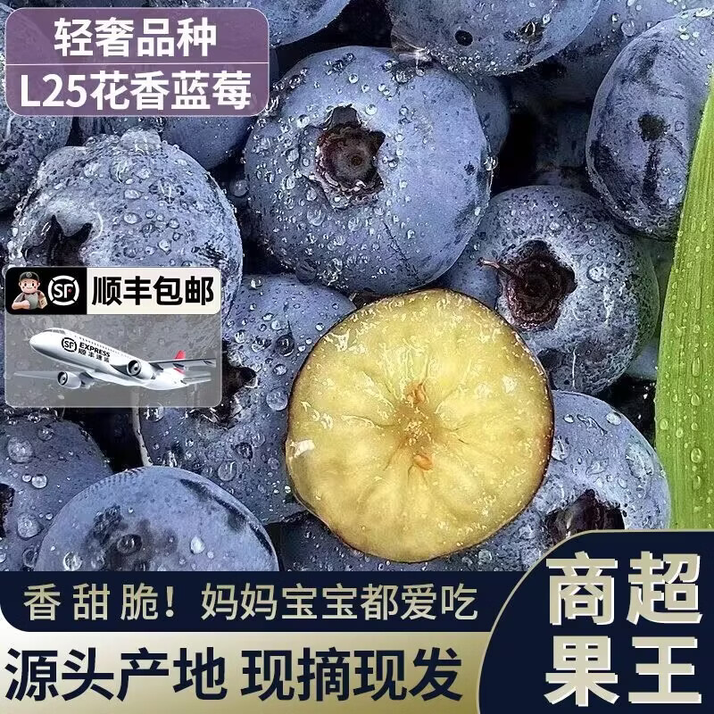 云南露天种植原生态现摘富硒新鲜花香蓝莓脆甜无农残孕妇源头直发 脆甜多汁（特大果2500g）20mm+送云南红颜草莓250g