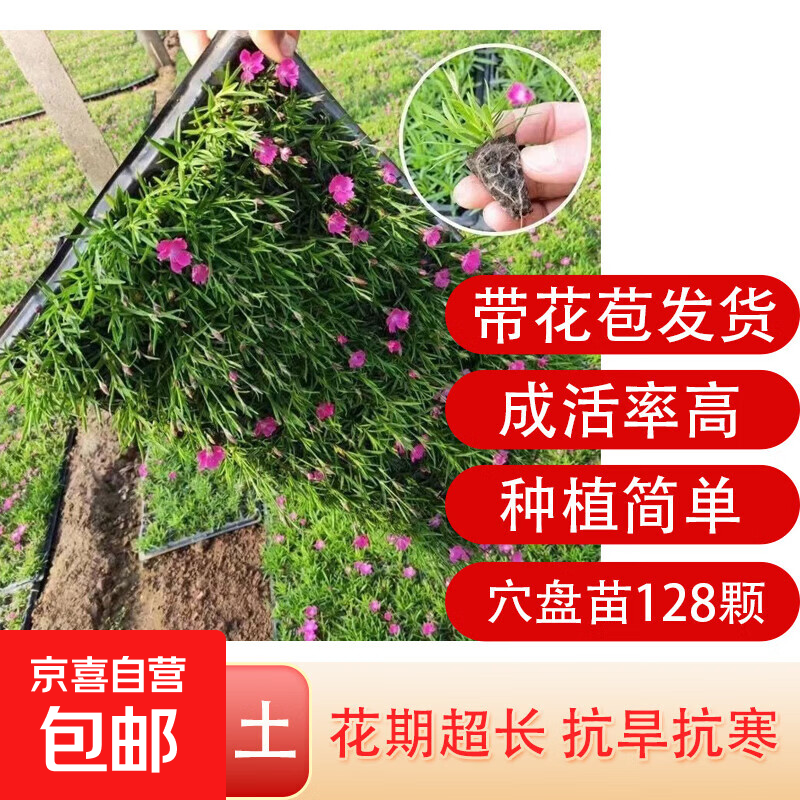 ���ڲ�����ŷʯ��Ѩ���绨��������������ͥԺС���̻��ͺ��ͺ��ļ����̲�ƺ �۱�ŷʯ��Ѩ����128��һ�� 31.36Ԫ