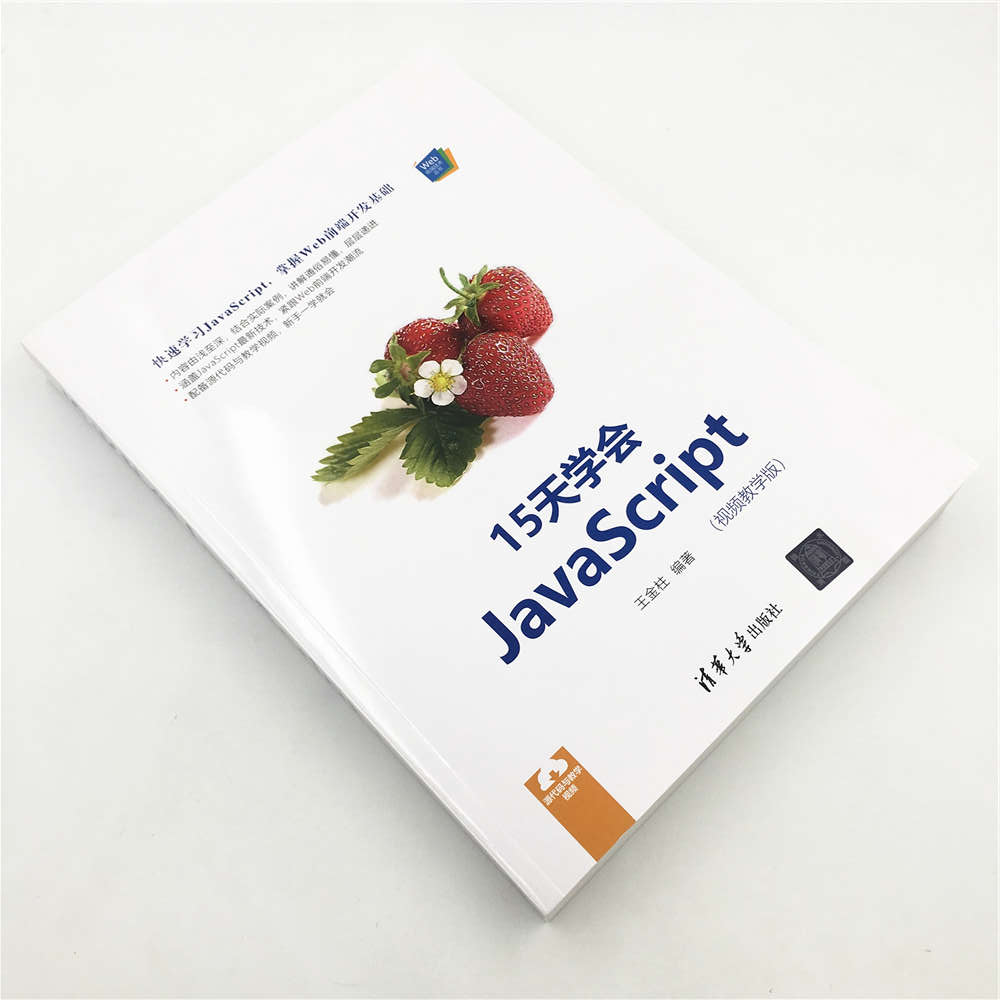 Web前端技术丛书：15天学会JavaScript（视频教学版）