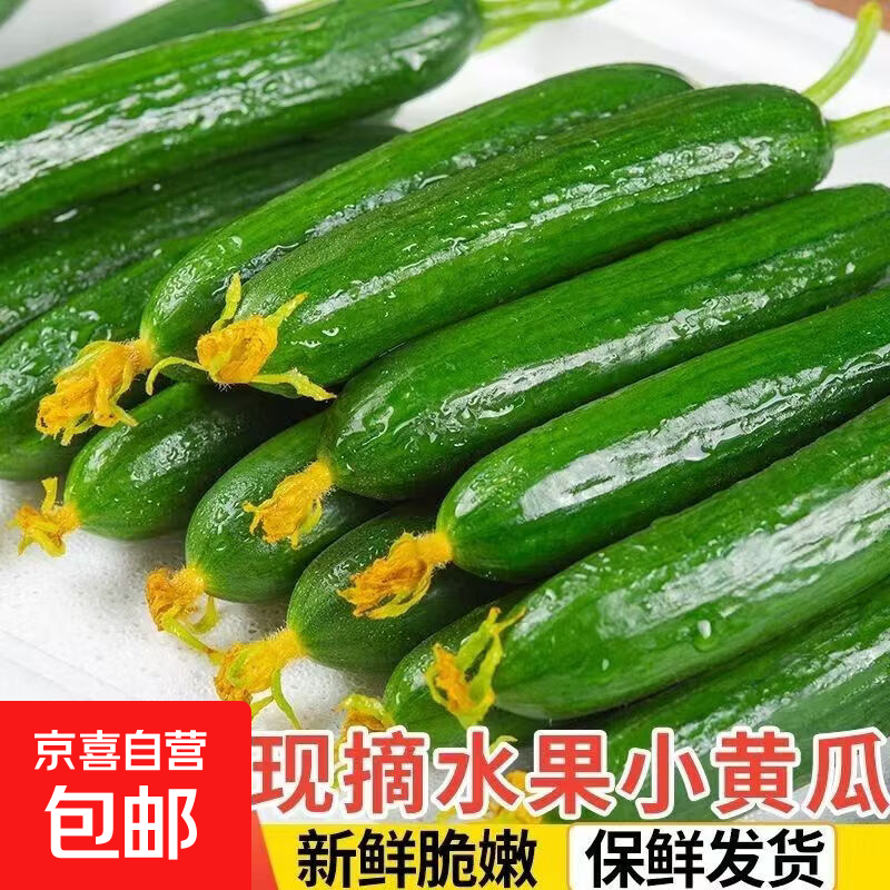 京喜加【东东买菜】寿光水果黄瓜无刺小黄瓜小青瓜生吃新鲜瘦身减脂蔬菜 黄瓜新鲜净重 1斤